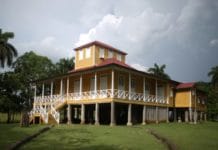 Fidel, viaje a la raíz. Entrevista a Katiuska Blanco