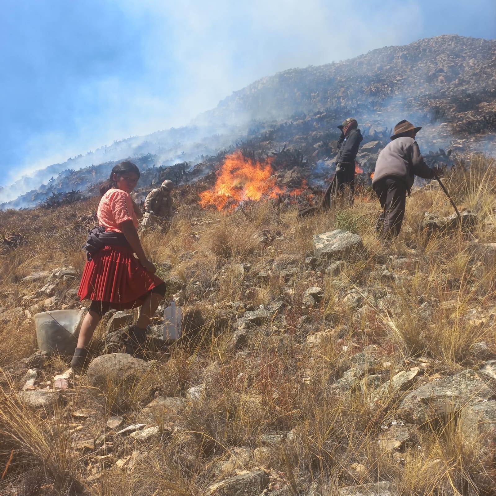 En Bolivia se reportan más de dos mil focos de calor e incendios ...