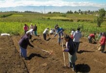 Ni envejecer, ni decrecer ¿alternativas realistas a largo plazo?