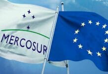 El Mercosur a la medida de la Unión Europea